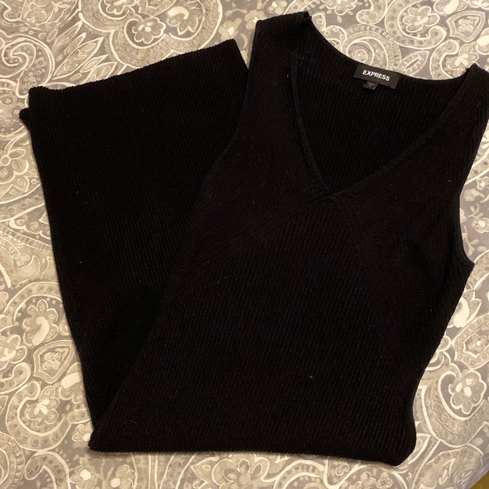 Express Sweater Dress